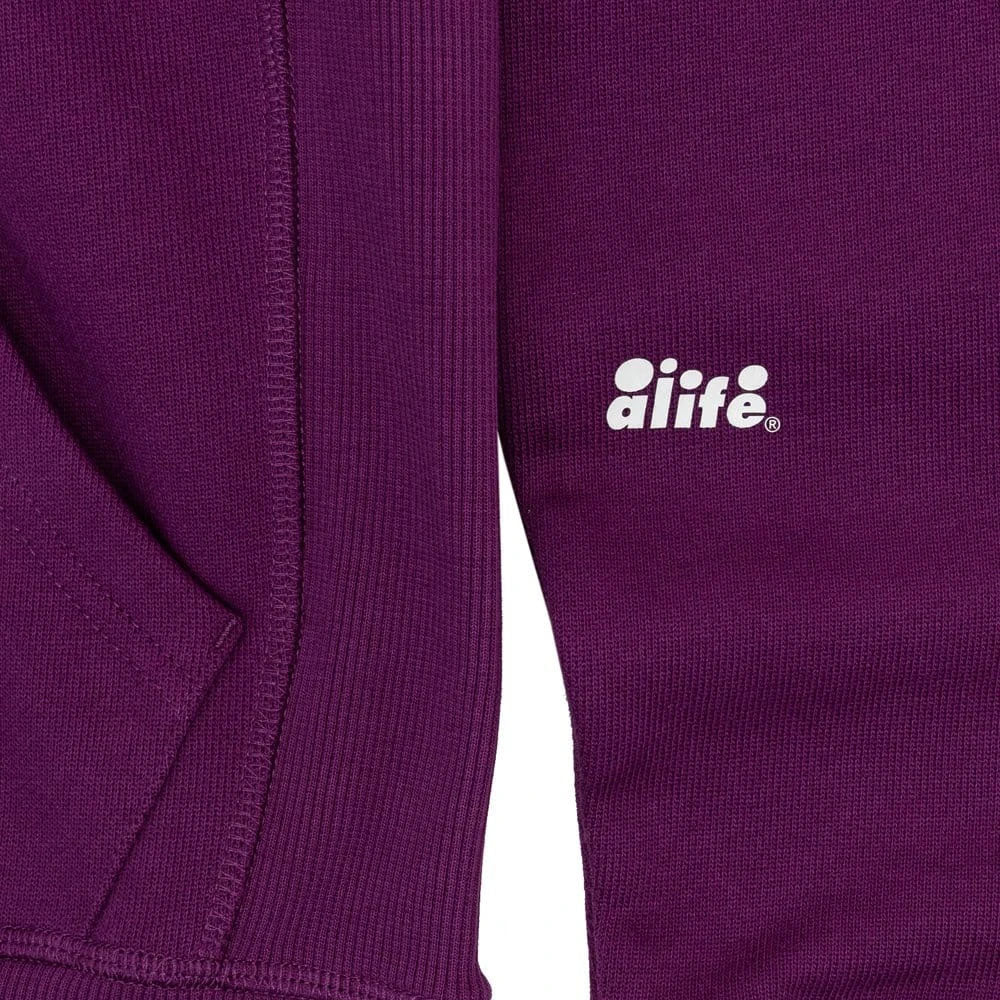 Co  egiate Hoodie - Image 4