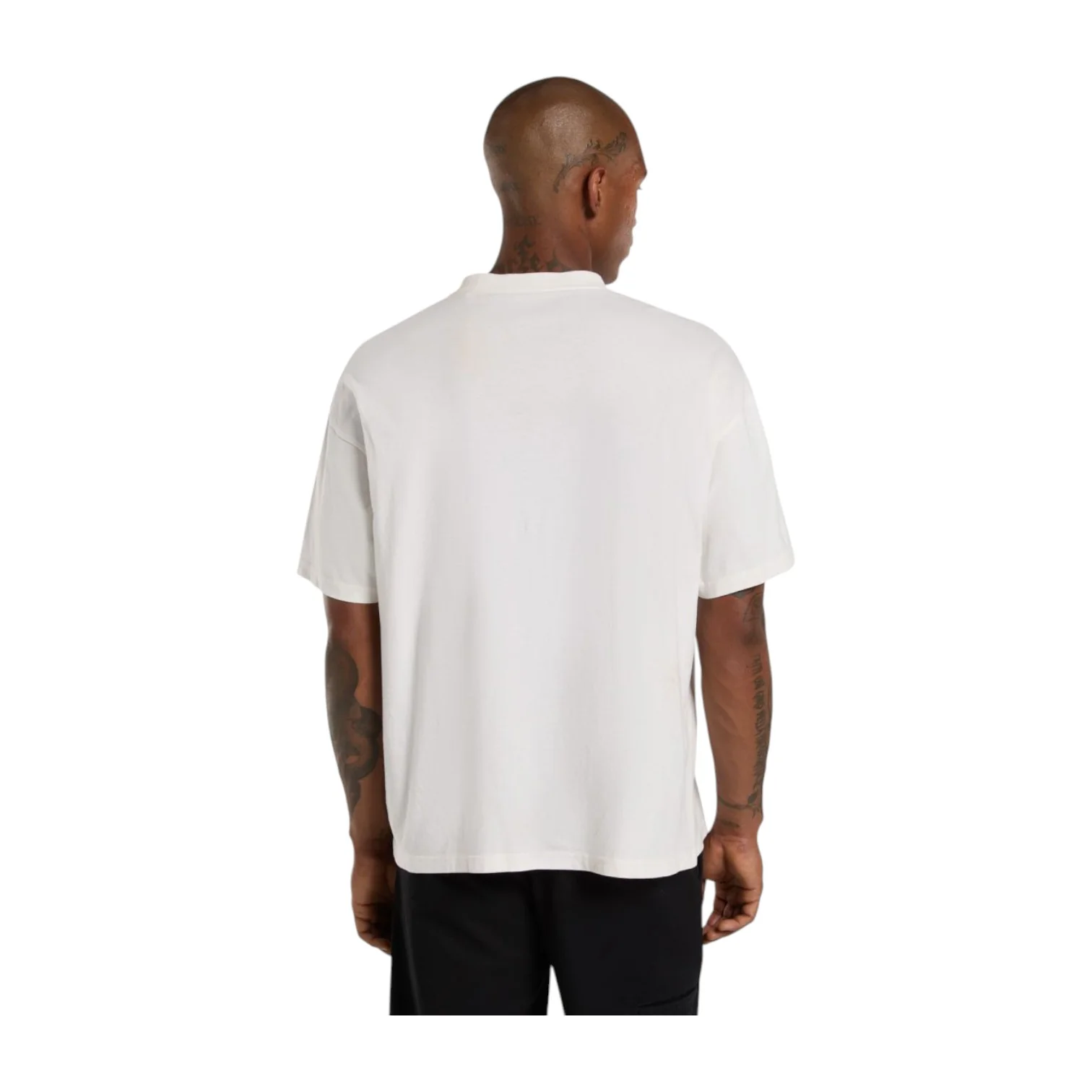 Williston Tshirt Ss Egret - Image 4