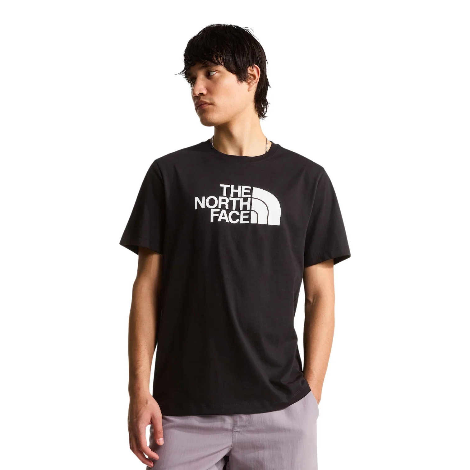 M EVOLUTION HALF DOME REGULAR SHORT SLEE TNF BLACK/TNF WHITE - Image 3