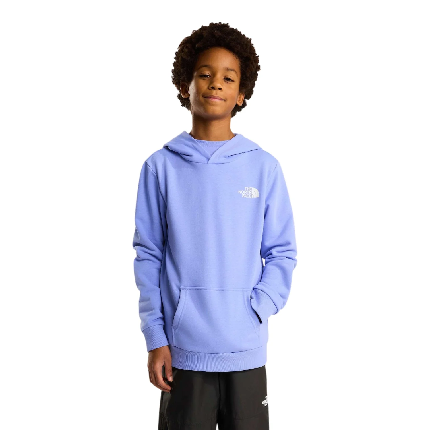 The North Face Simple Dome Light Reg Hoodie Light Blue - Image 3